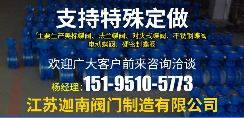 江苏赛福迪阀业有限公司-内页_01