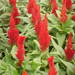 �G�~�u�ڻ� ���o�tɽ�|���ݴ��������r��ݻ� �@�ֳ��оG��