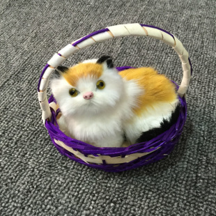 �ϻ@��؈�ط���؈���е�С؈���^�������
