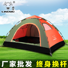 Antelope Camping Tent Antelope Rainstorm Double Double Beach Tent Automatic Tent Outdoor Tent Wholesale