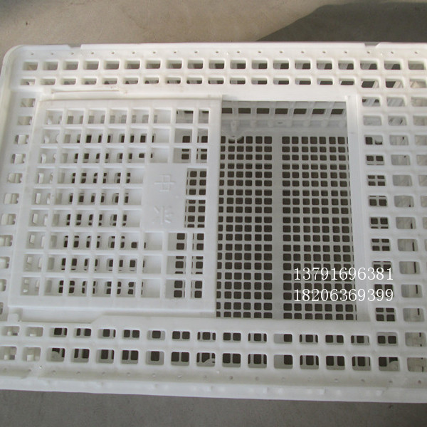 塑料运输鸭笼 青年鸡周转箱 肉鸭运输筐