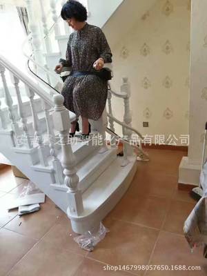 家用别墅无机房电梯住宅座椅电梯加拿大技术很安全高性价比