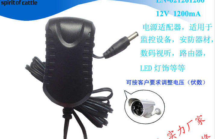 12V1.2A开关电源适配器插墙式欧中 美 日规视频 摄像头监控适配器