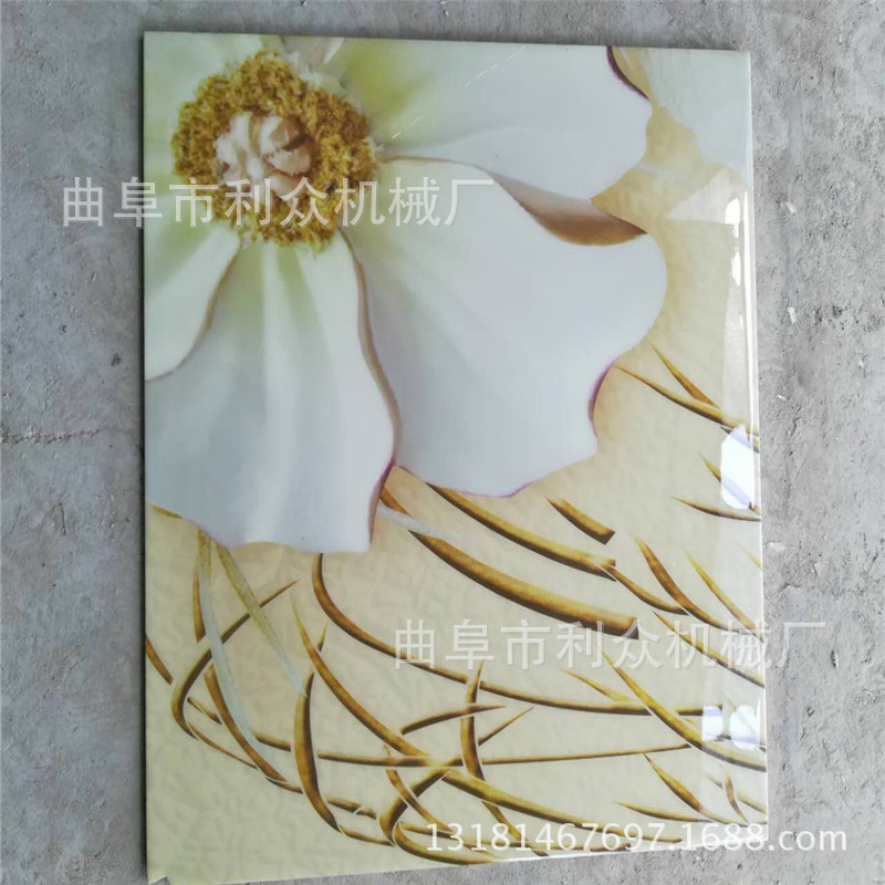 昆明 平面往复喷涂机 3D背景墙上光机