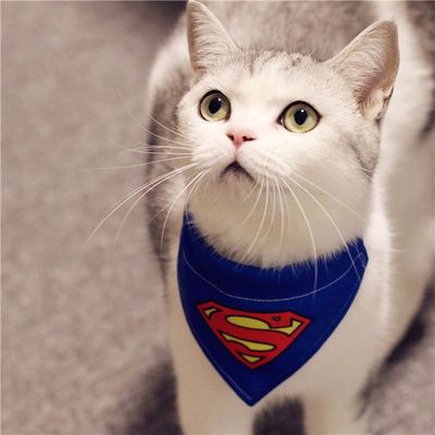 Seven家原创超人宠物猫咪狗狗装扮三角巾领结项圈大型犬金毛泰迪