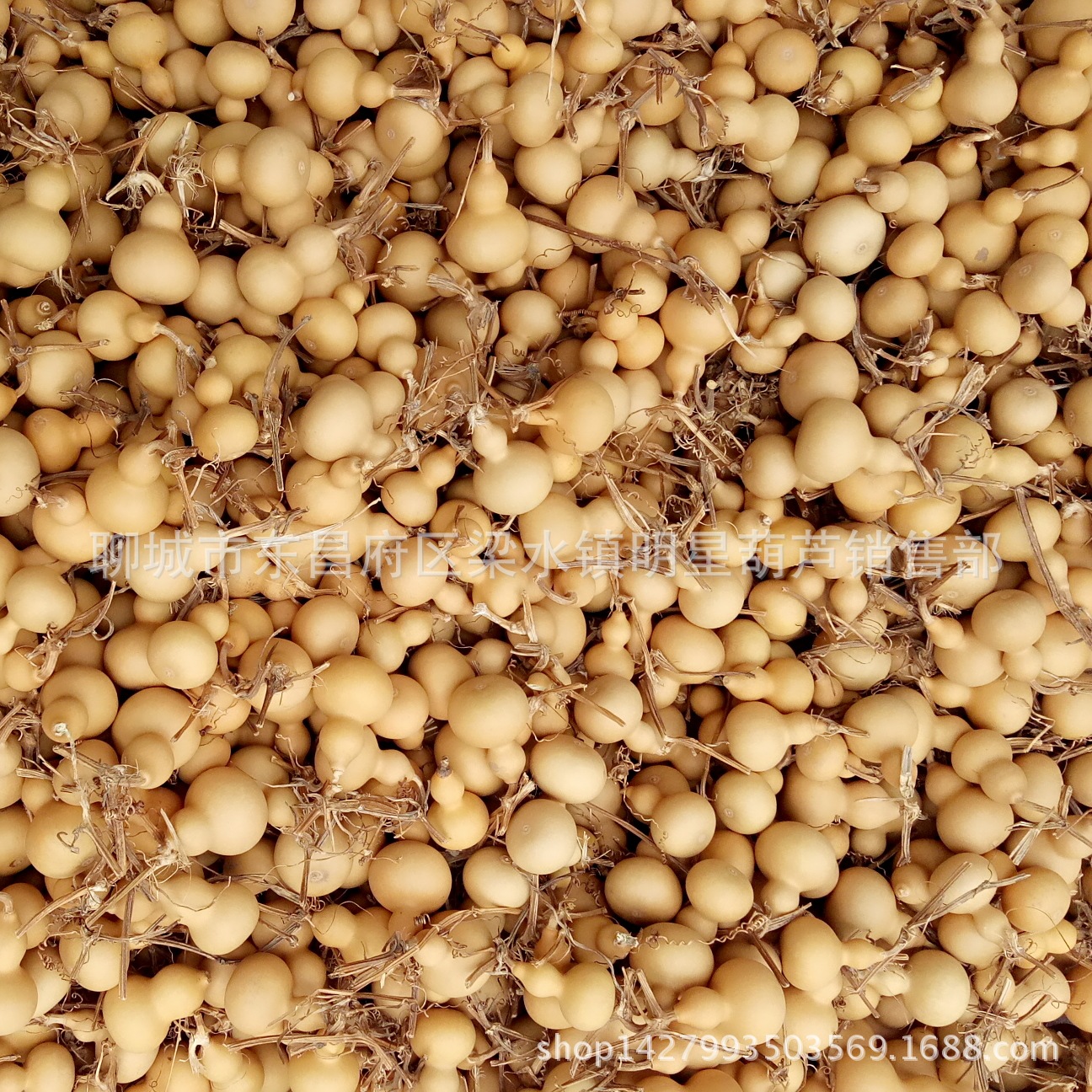 MYXJ_20170908153820_fast