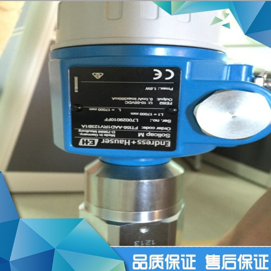 销售E+H 恩德斯豪斯 供应 音叉物位计 FTI56-AAD1RV123B1A L=1700