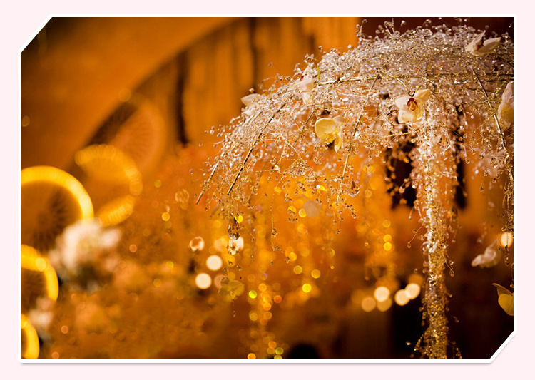 3579985730_2003903659