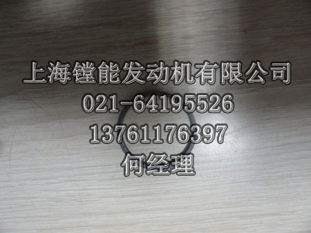 配件供应_8491700050 MTU NTH RING橡胶垫圈