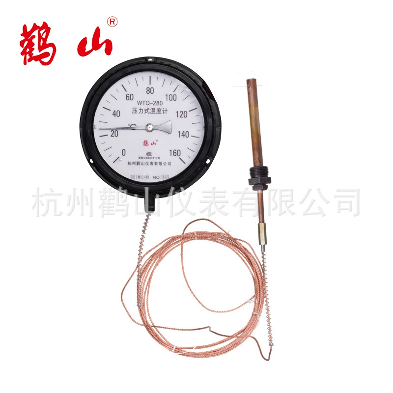 WTQ-280 термометр давления газа термометр давления прямые продажи с фабрики могут быть настроены по индивидуальному заказу