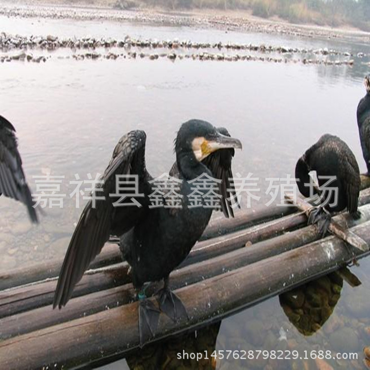 10_副本