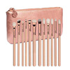 Golden brush contains rose, fuchsia eye shadow, tools set, 15 pieces