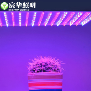 ��ALEDֲ�����L��LEDֲ���14W�r���@ˇledֲ�����L�a���