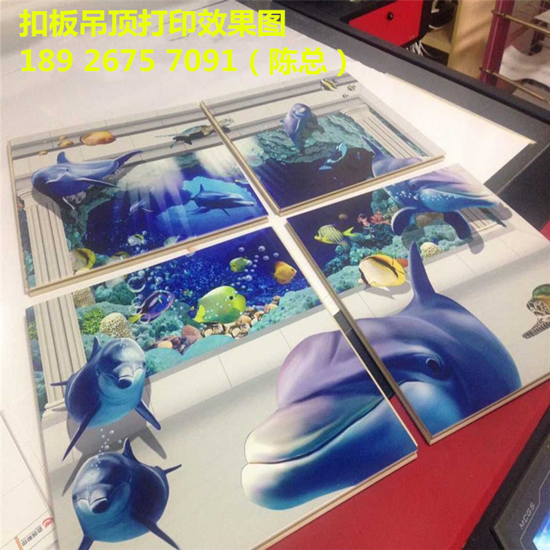 2571558843_746570296_����