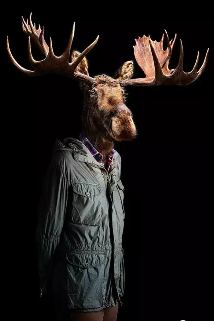 �����װ������������̳��������������չ�᲼�õ���������װ