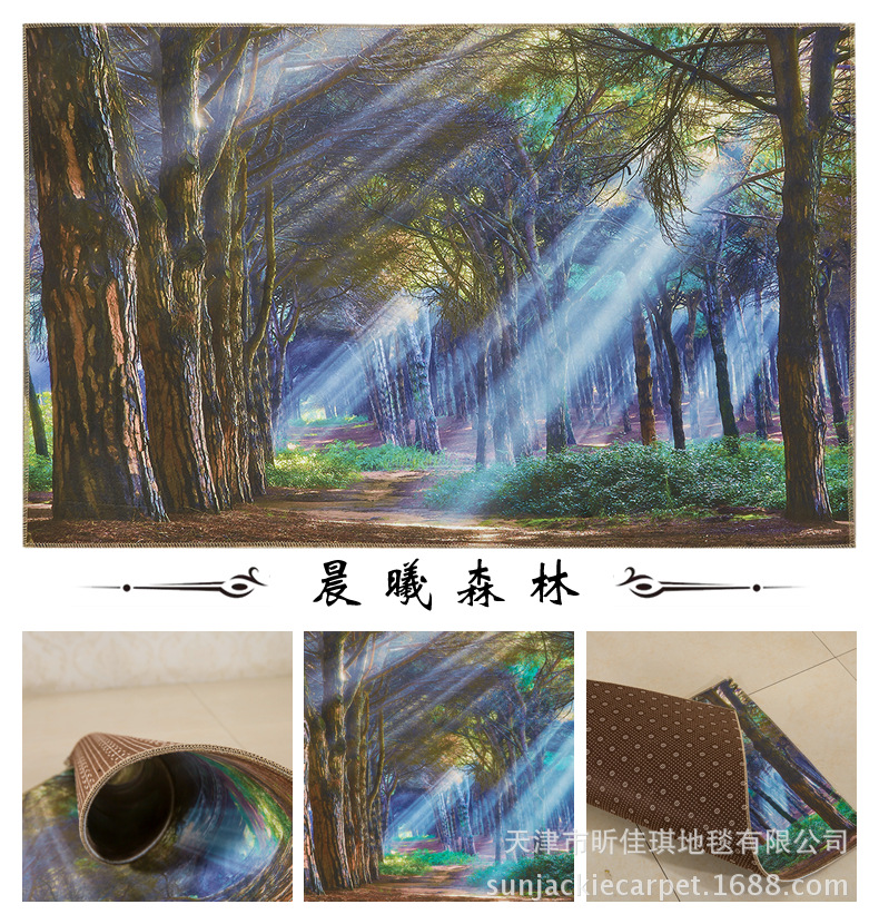 Jiaqi factory wholesale floor mat cartoon door mat kitchen floor mat bathroom floor mat carpet LOGO floor mat