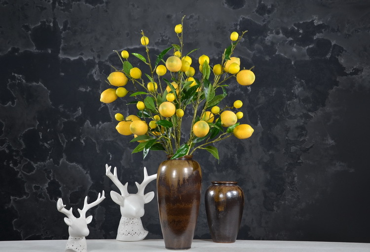 2-17黄色欧罗柠檬