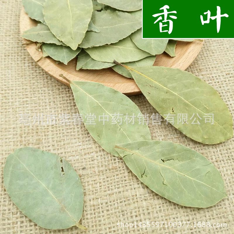 香叶图片月桂,新鲜,地中海(第16页)_大山谷图库