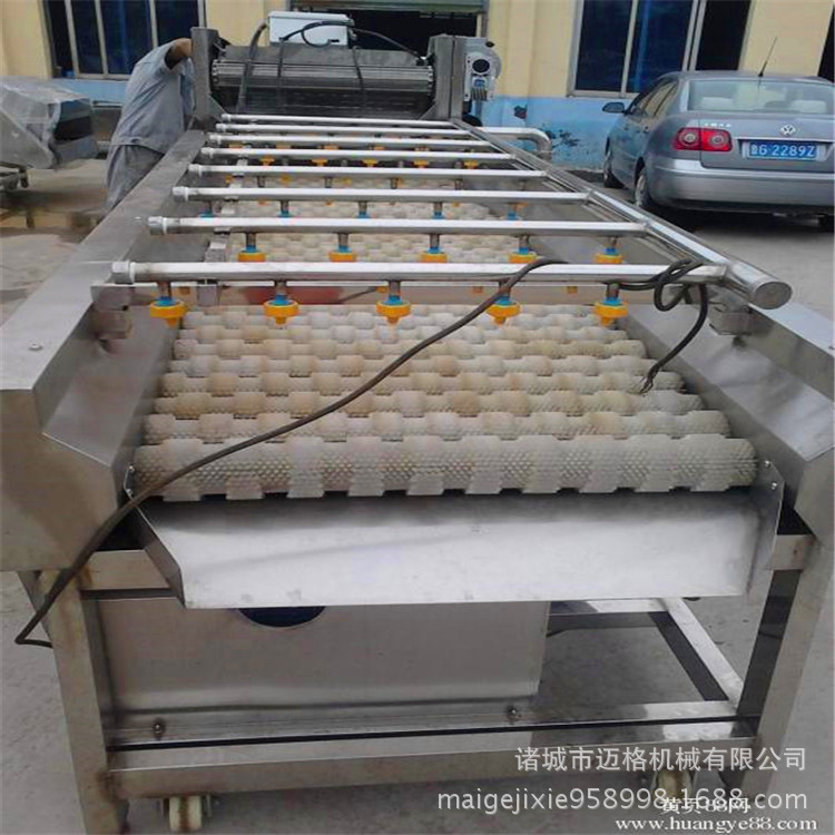 罗汉果加工流水线14