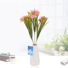 �羳����5�^10����ľ�mӳɽ���N���滨�������ϻ���c�Ҿ��b�