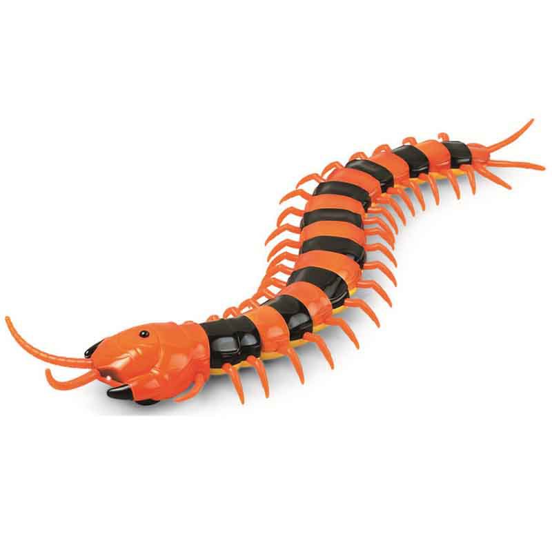 Cross border Tricky Toys Telecontrol centipede Electric toys Simulation animal Action lifelike Best Sellers