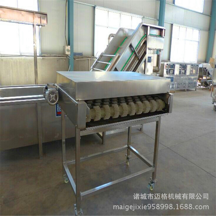 罗汉果加工流水线4