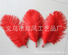 40-45cm�֗U�r�B��ë�廨��ë��c������ë·��