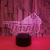 Tennis LED table lamp, 3D, Birthday gift