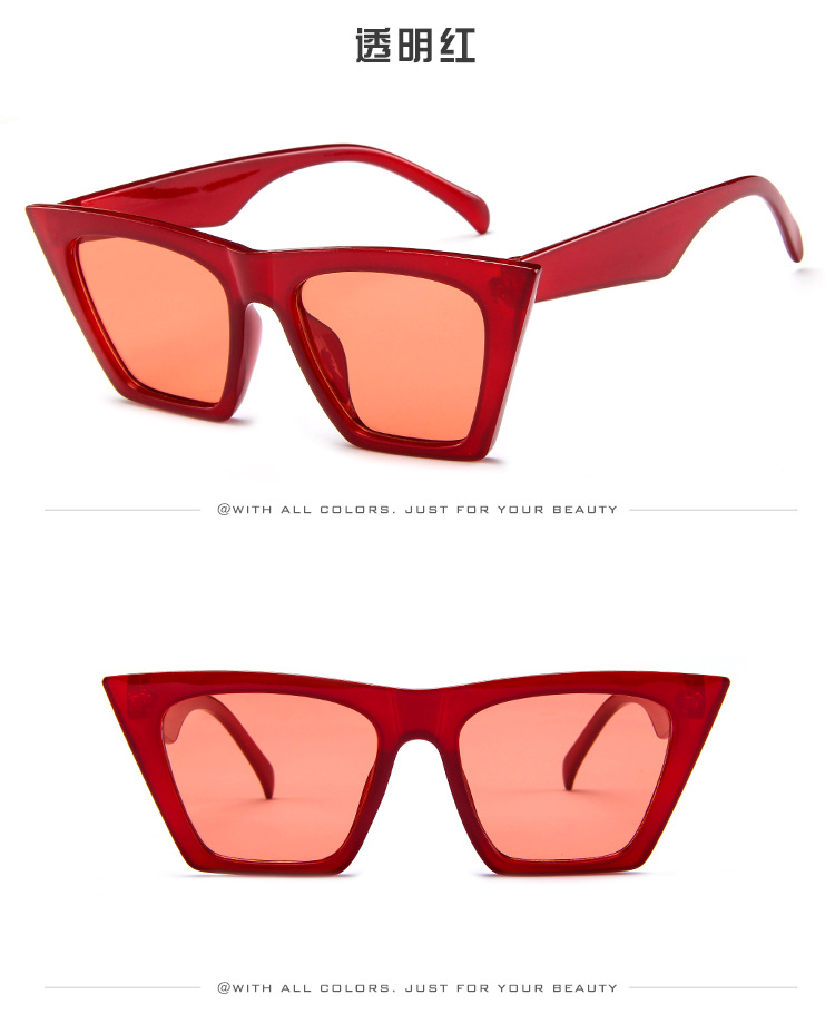 Lunettes de soleil LA LUMINOSITé en PC - Ref 3366572 Image 35