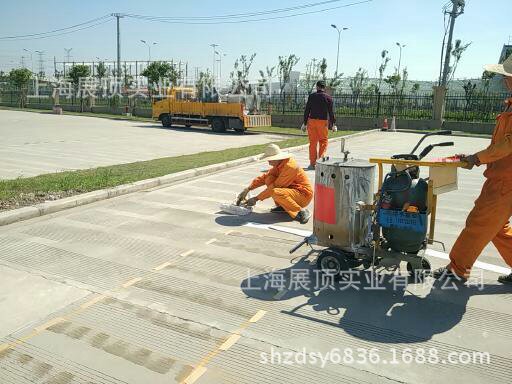 南翔厂区出入口标线交管验收中心分隔线 导向箭头 横道线让行标志|ms