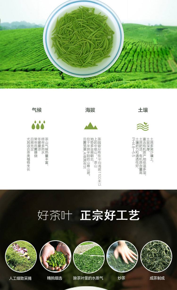 茶详情绿茶100以上-明前精品_08