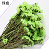 Dry flower wholesale naturally do not forget the self -discipline, Dry Valentine's Day Gifts, Home Resident Flower Architecture Factory Direct Sales