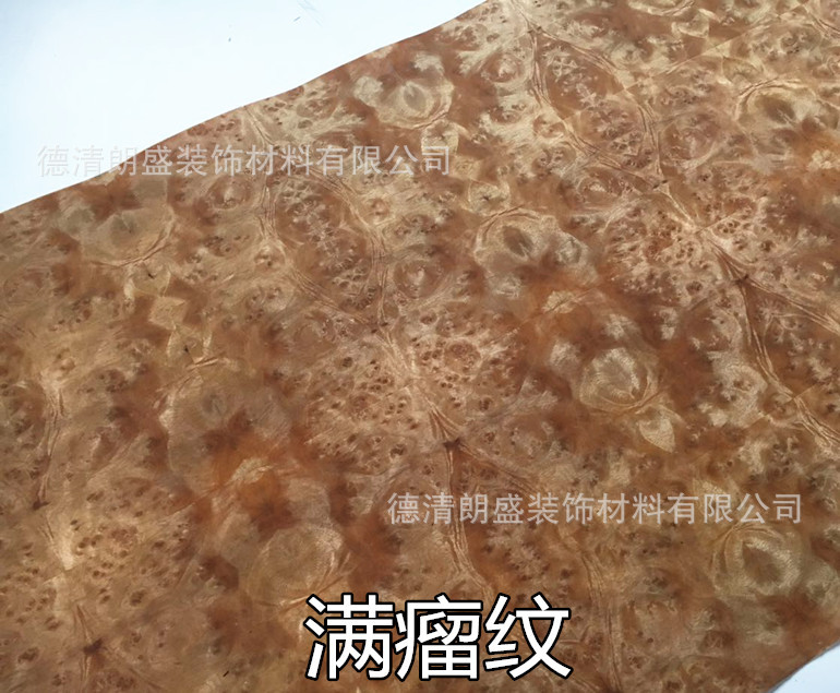 山香果树瘤,山香果树百科,山香果树(第3页)_大山谷图库