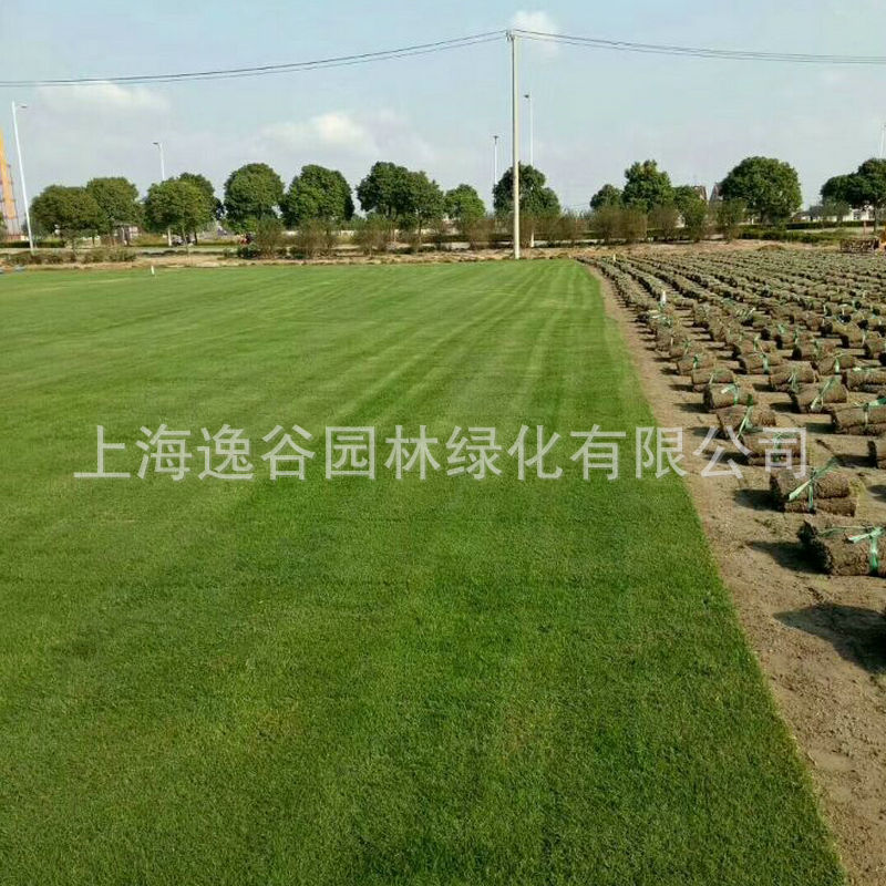 EF13E5E3536440E58EA6F598B10DDD