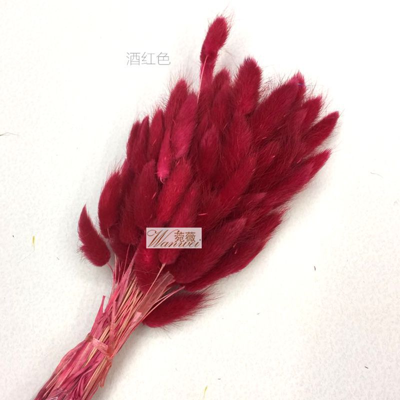 微信图片_20170521112150_副本