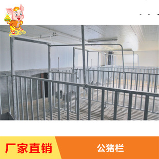 �S��ֱ�N���i�� �N���i��  ���iվ  ���i��  ���i����