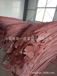 �Sţ���ӼtɫƤ��