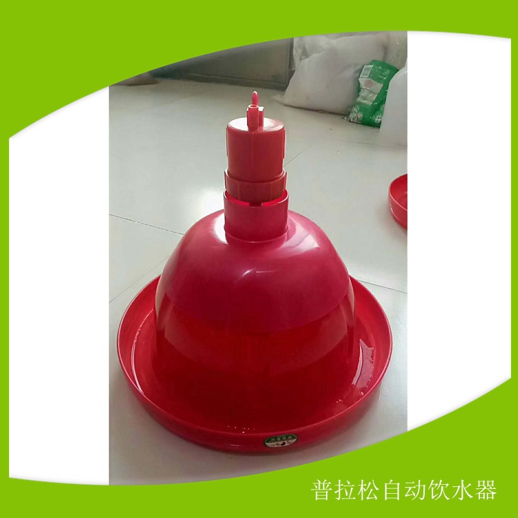 加厚鸡用普拉松自动饮水器 鸡鹅饮水壶 养鸡自动普拉松饮水器