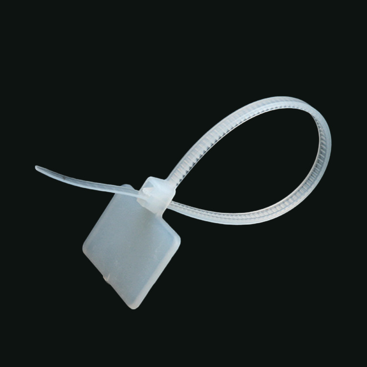 标示扎带 长210mm 标牌扎带 自锁式 标示束线带 尼龙标签扎带