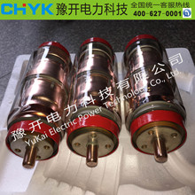 ��՜绡��BD-12/630-20 25 BD-12/1250-25KA 31.5 BD-10������