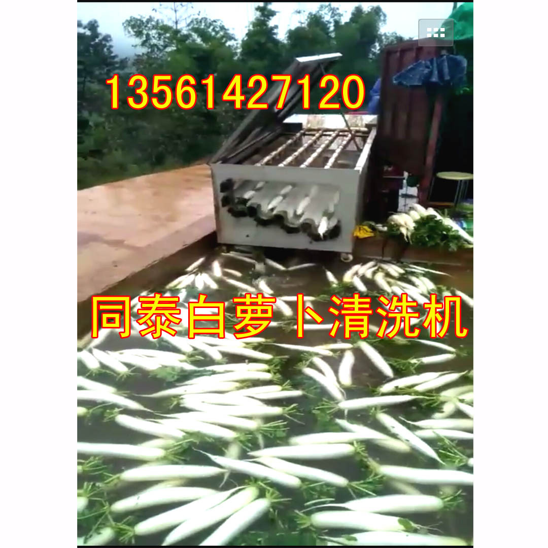 白萝卜清洗机9