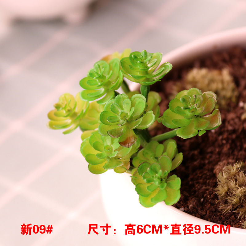 シミュレーション多肉植物卸売り小多肉優品偽緑植壁室内外装飾組み合わせ植毛リアル肉