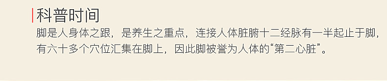 暖脚宝插电电暖鞋暖脚器加热暖脚垫电热保暖鞋暖手卡通可拆洗