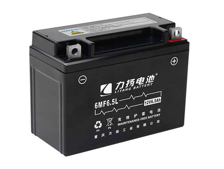 重庆力扬厂家直销6MF6.5L供应通机 两轮摩托车全 高性能免维护电