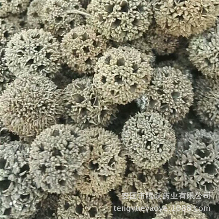 Lulu Tong Dried Sweetgum Fruit Whole Form Traditional Chinese Herb for Decoction and Herbal Use specifications