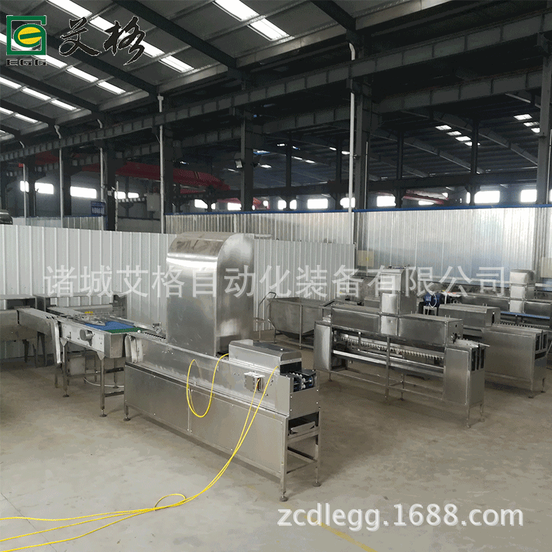 鲜鸭蛋光选分级设备艾格厂家价格便宜 诸城艾格批发中小型洗蛋机
