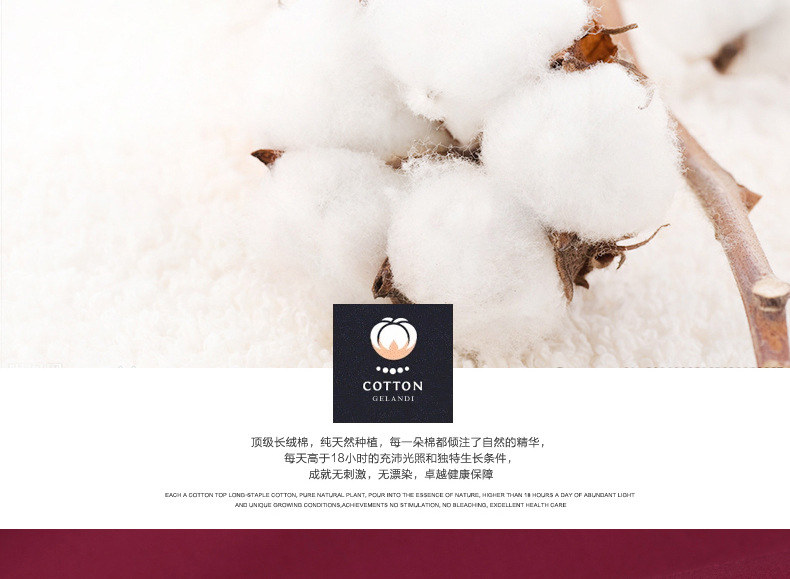 绣标夏季薄款弹力【高棉贡缎】钻扣商务男装时尚休闲男式长袖详情图4