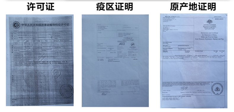 合格证2