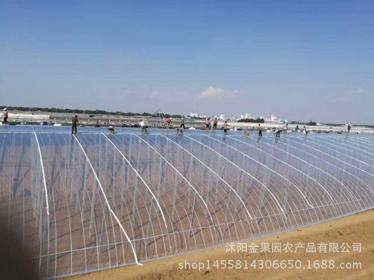 大棚膜描述6