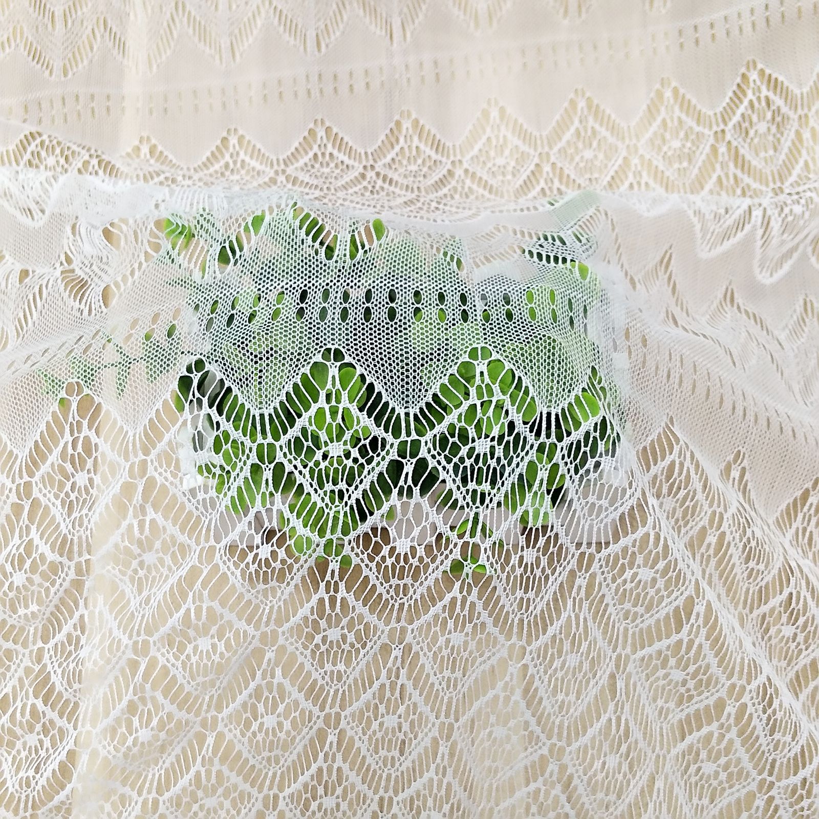 MYXJ_20170721153921_fast